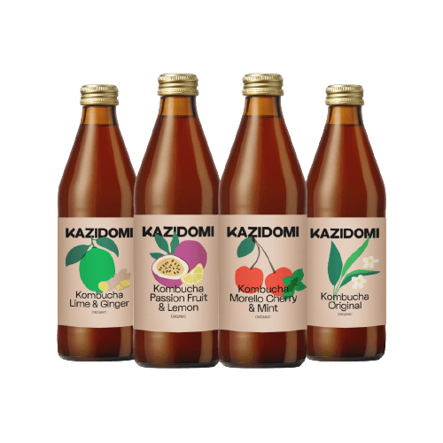 Discovery 4 x Pack Kombucha Organic BIO